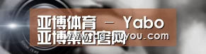 公司动态