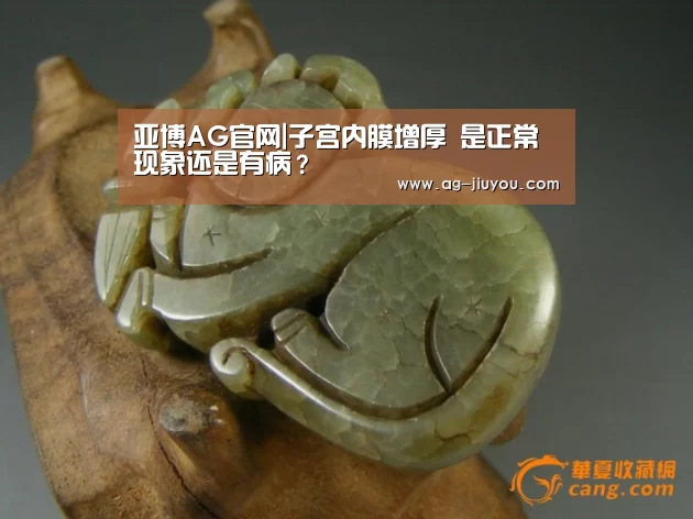 亚博AGAPP下载
