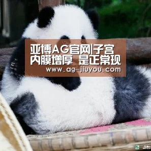 亚博AG体育平台