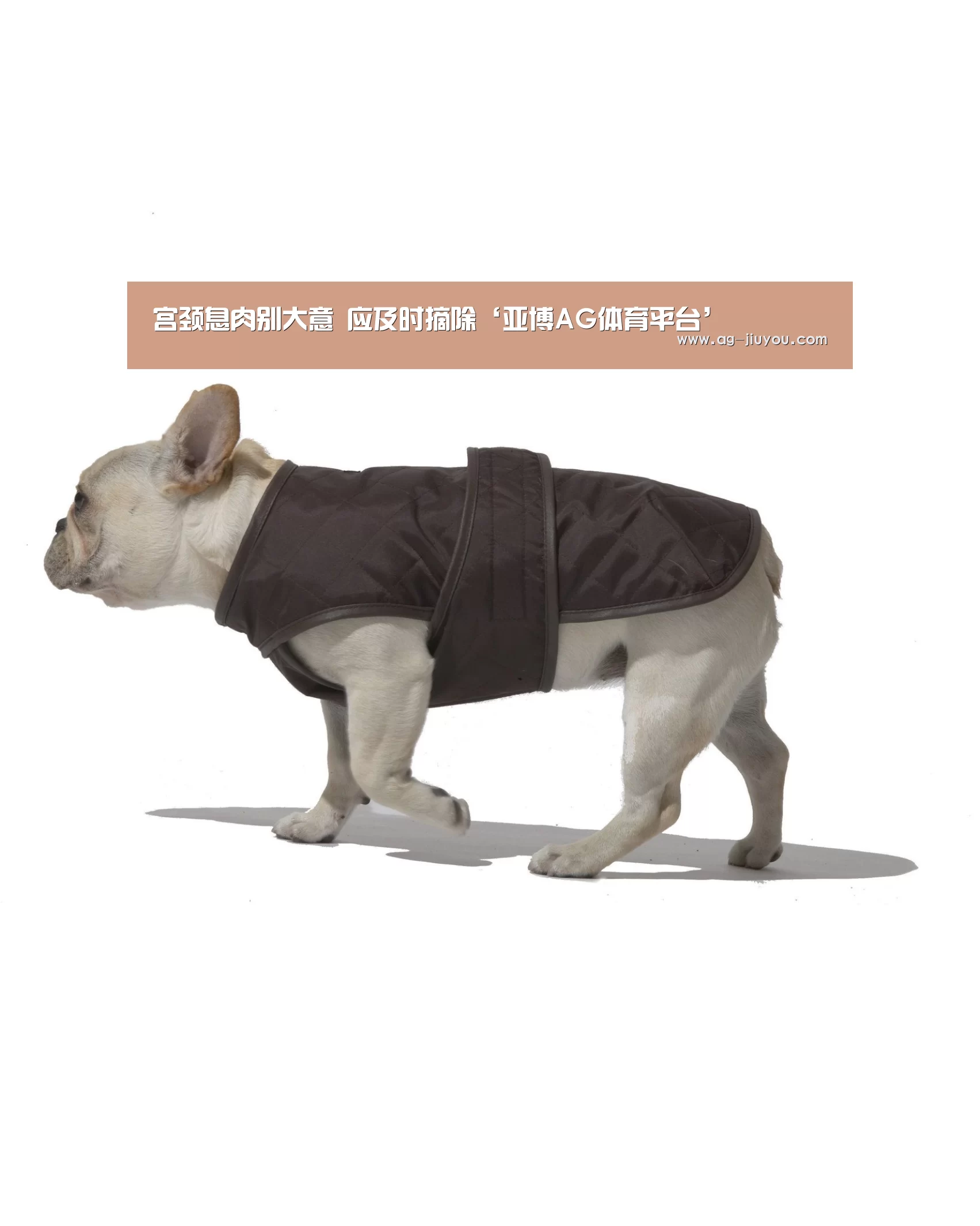 亚博AG体育平台