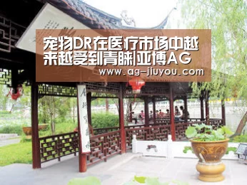 宠物DR在医疗市场中越来越受到青睐|亚博AG娱乐(图4) 亚博AG官网