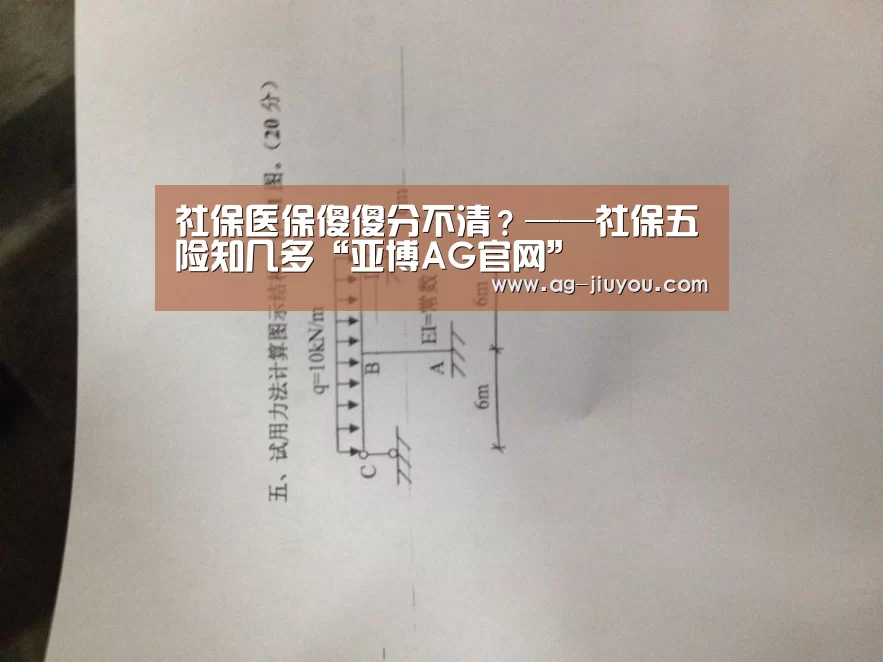 社保医保傻傻分不清?——社保五险知几多“亚博AG官网”(图2) 亚博AG娱乐